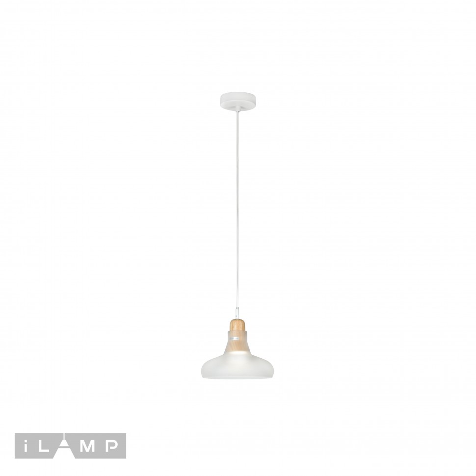 AP9006-1C WH