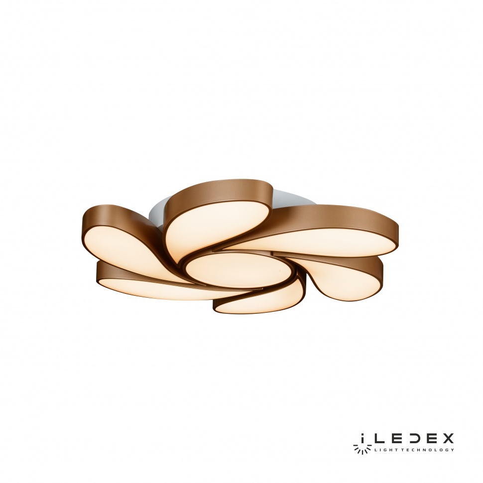 iLedex Flower 72W GL