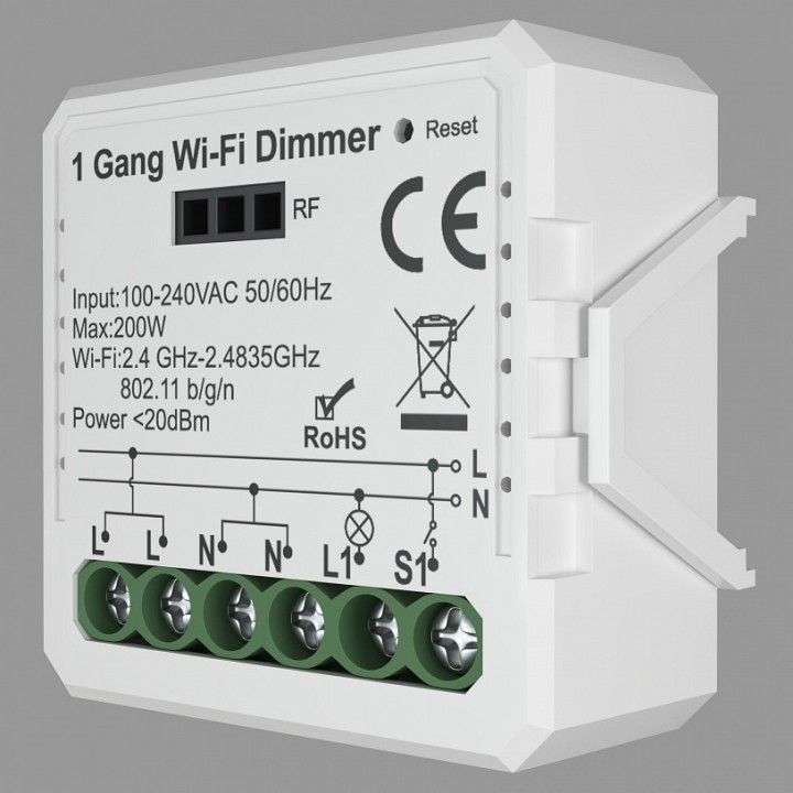 RL1003-DM Relay
