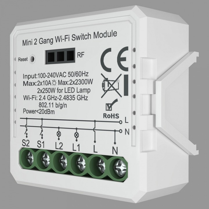 RL1002-SM Relay