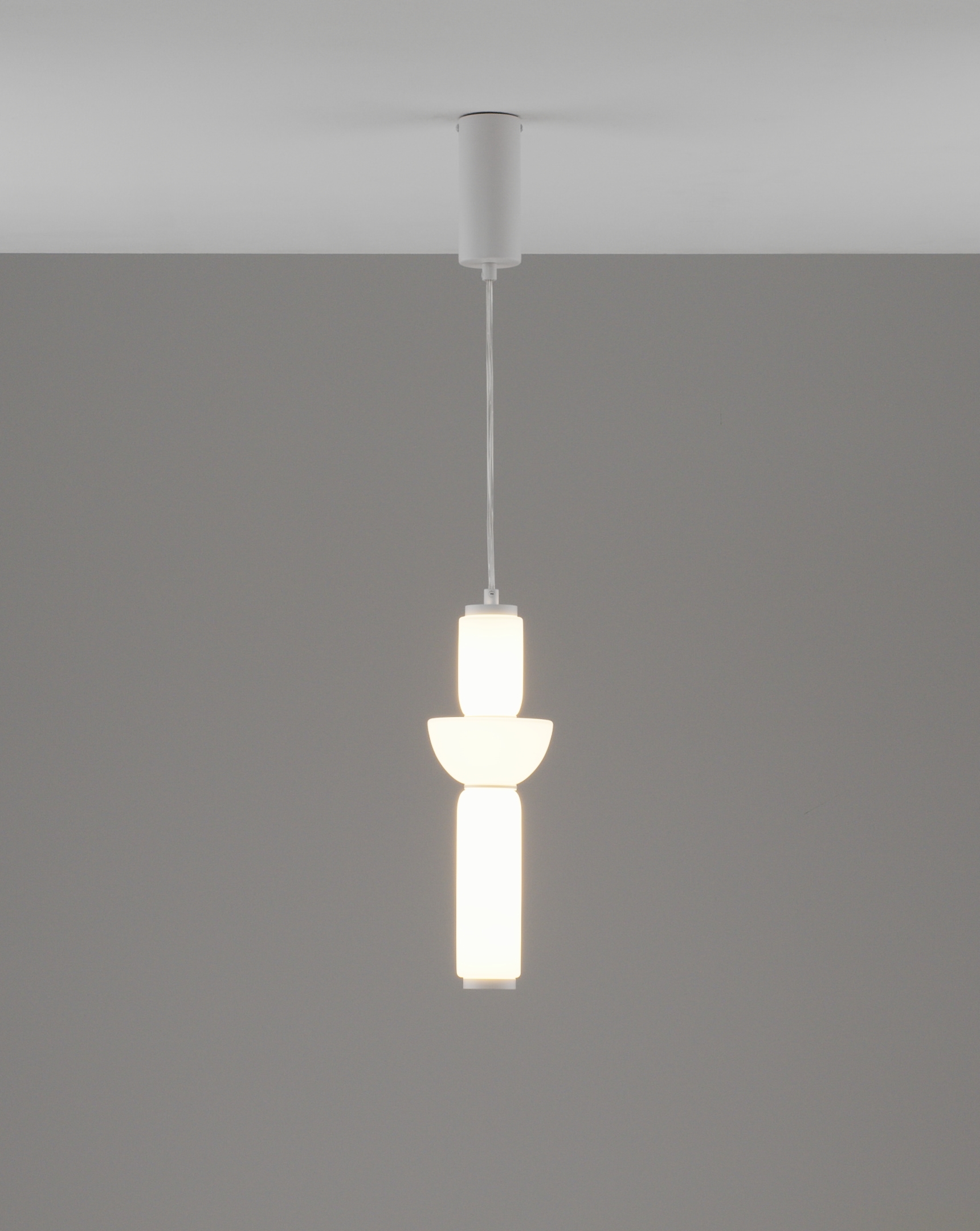 V11170-PL