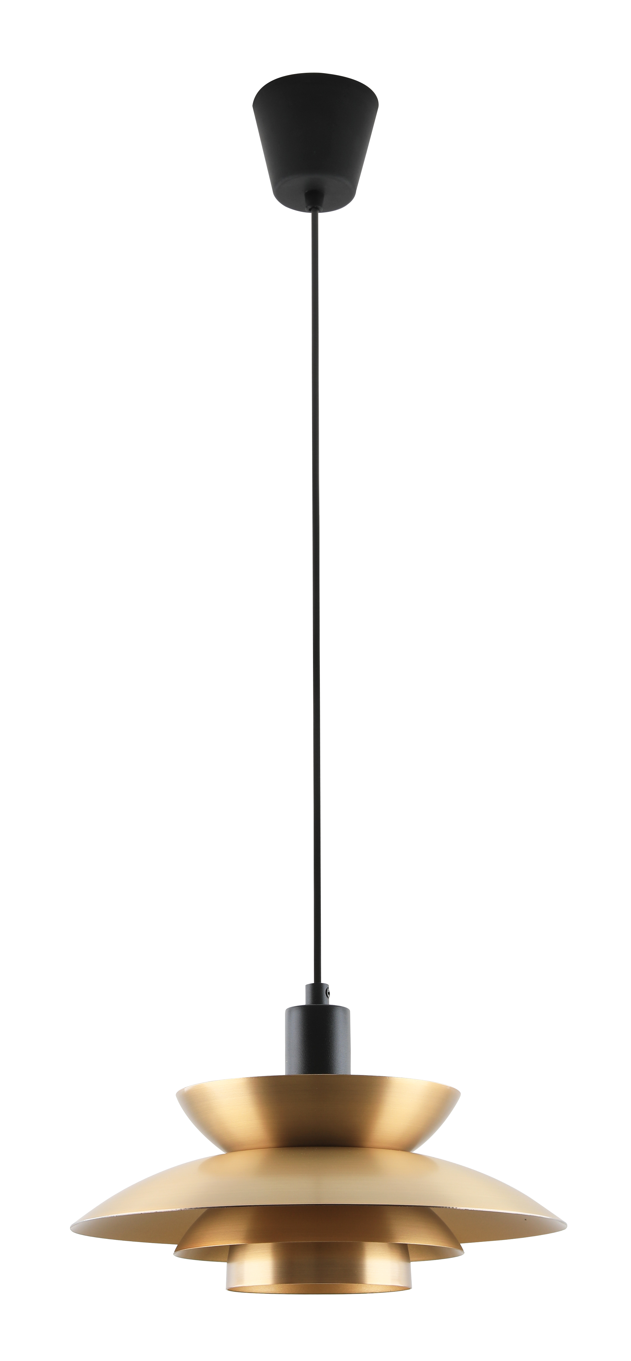 V11306-1P
