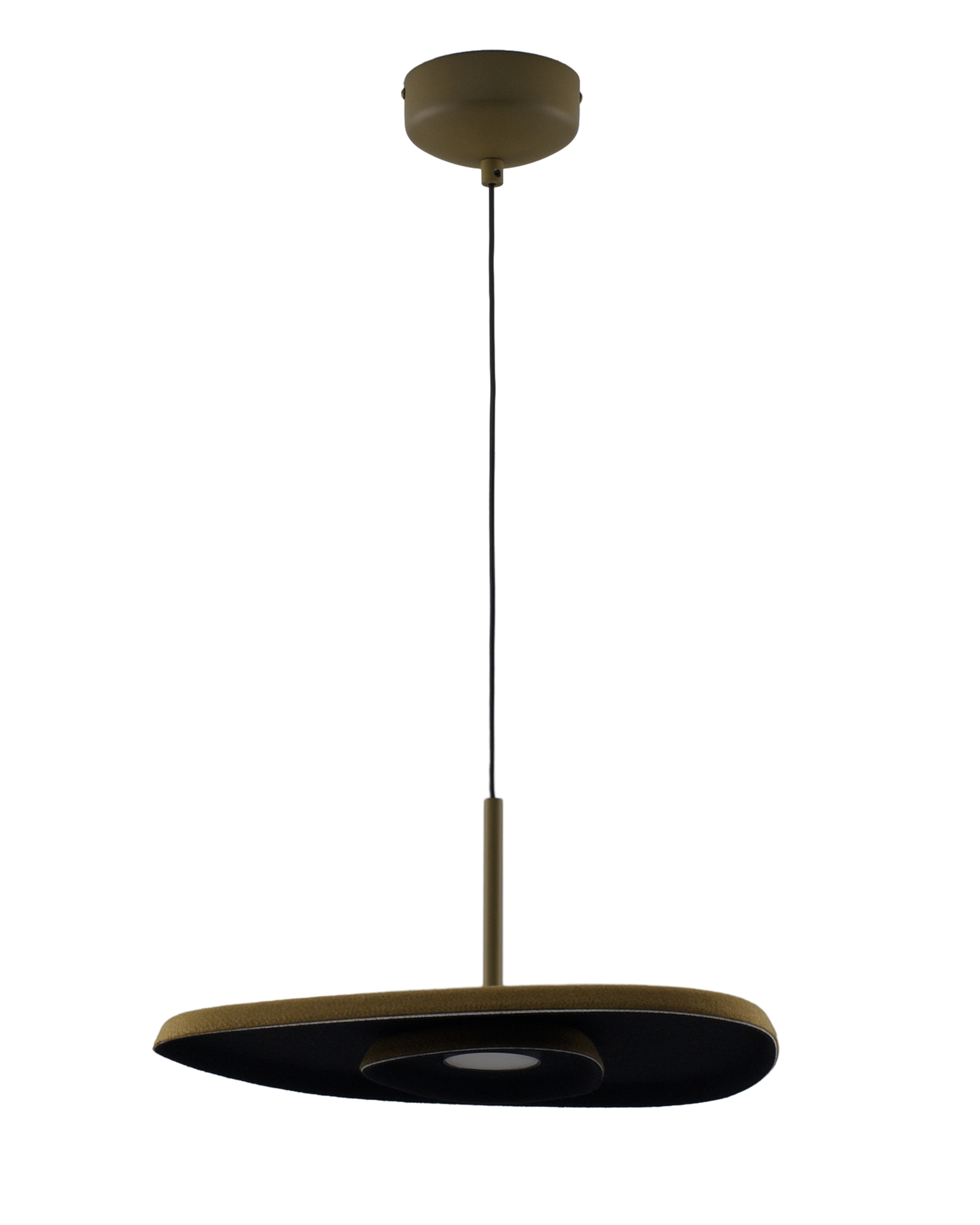 V11091-PL