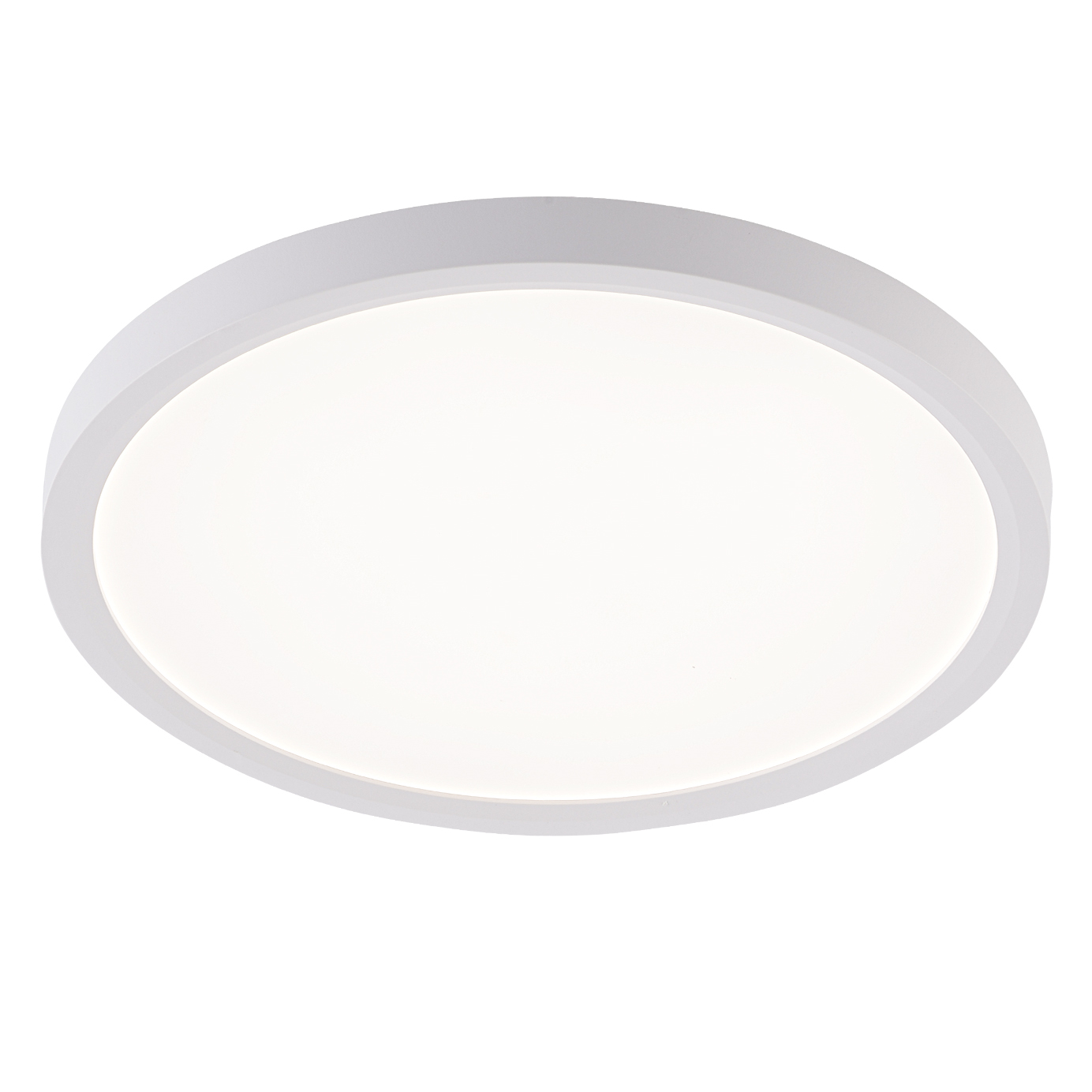 LED LAMPS 81113/2C