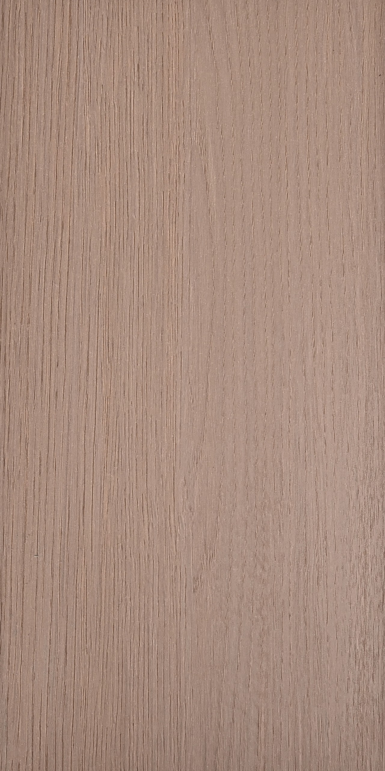 ECO005