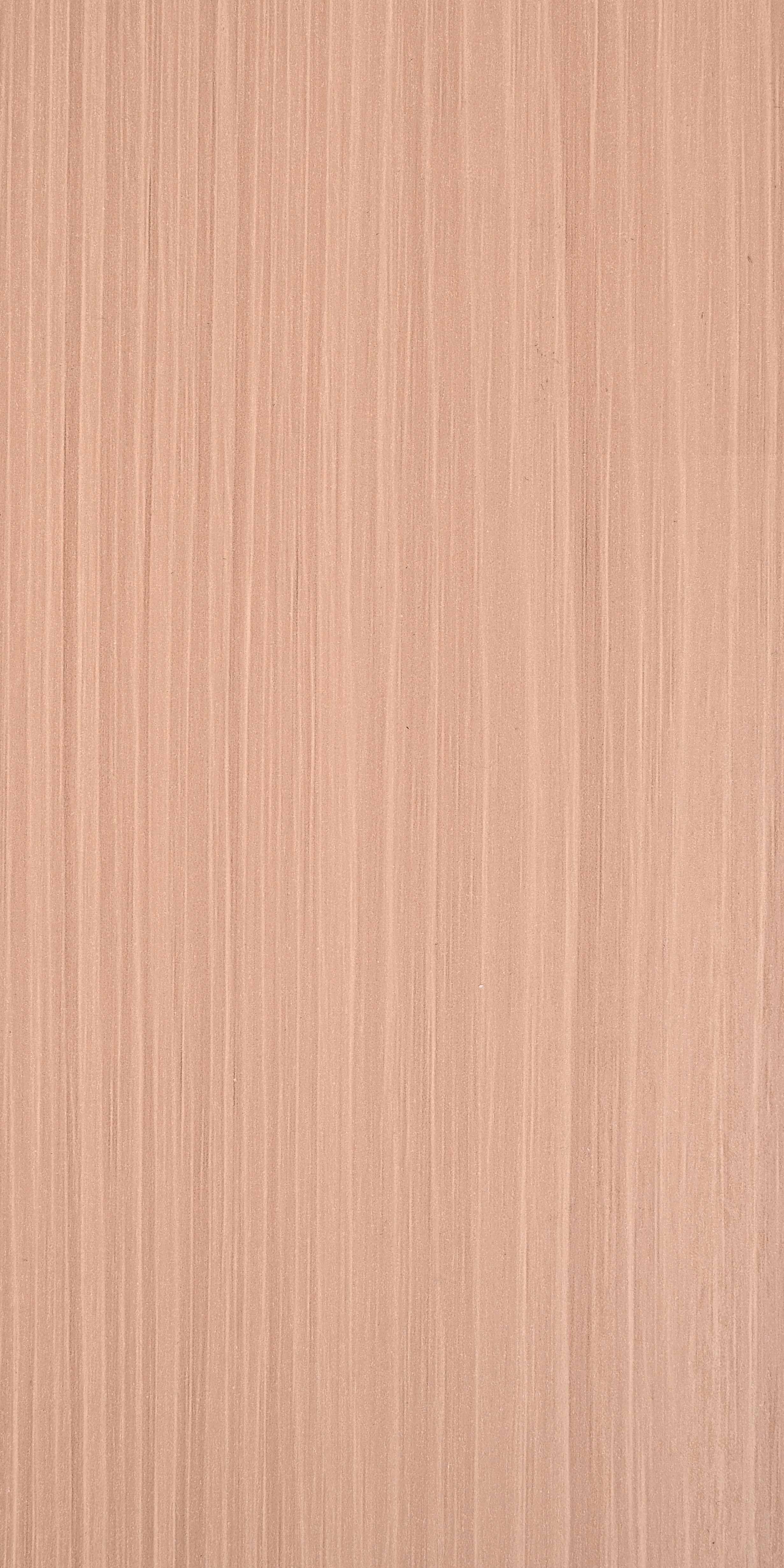 ECO009