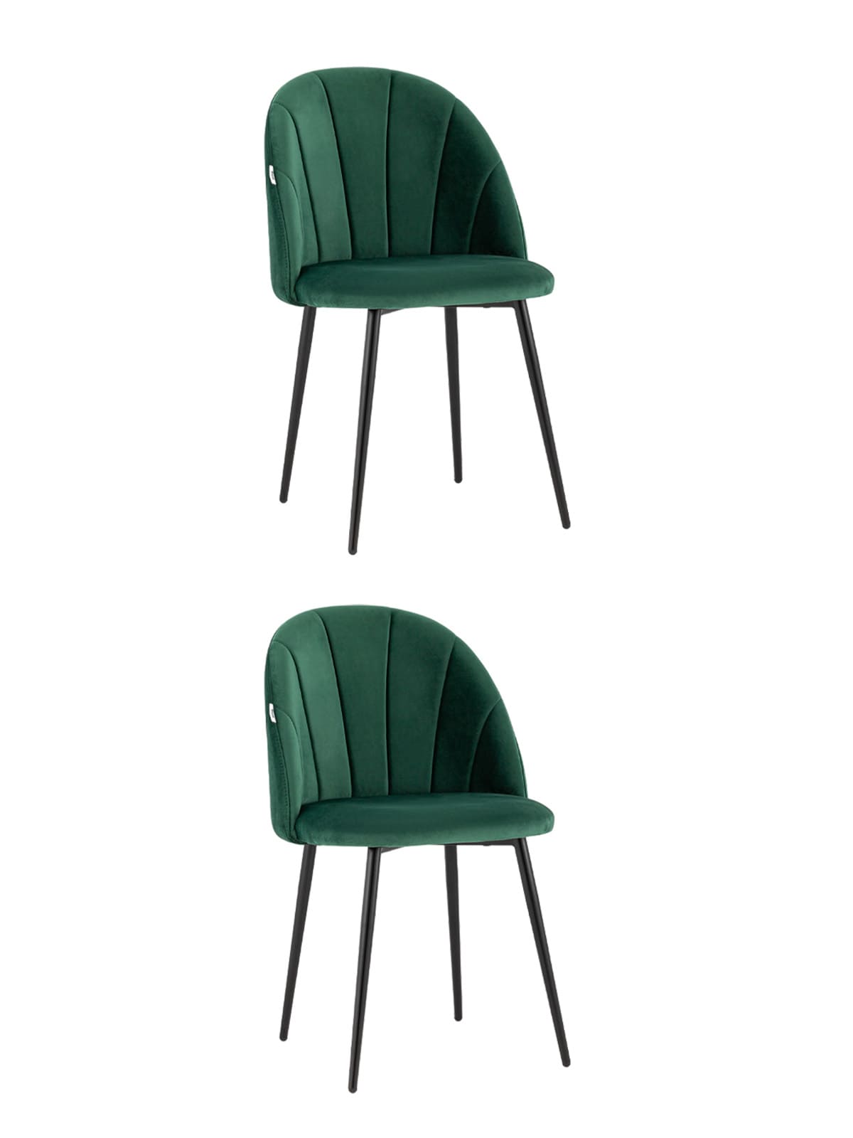 УТ000036143