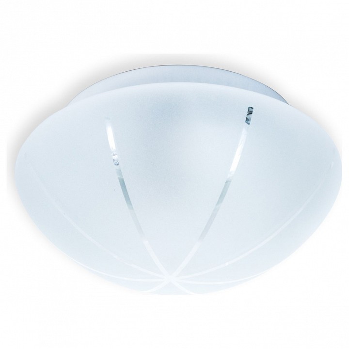 TL9431Y-01WH