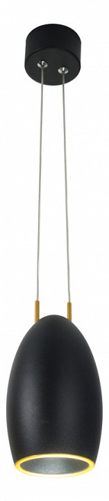 DL18691/WW-S Black/Gold