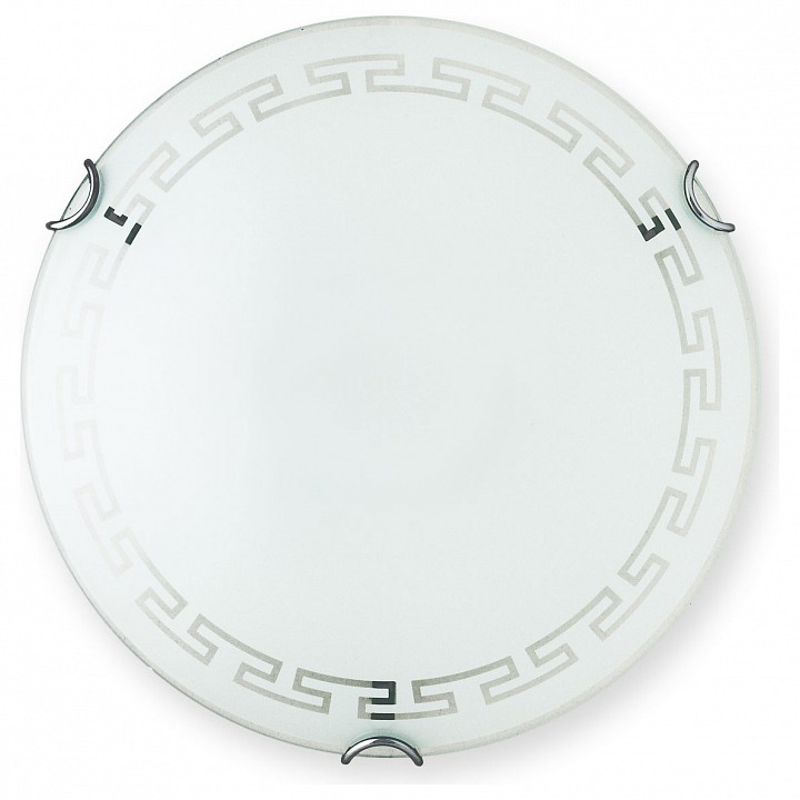 TL9162Y-02WH