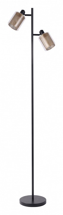 V3061-2F